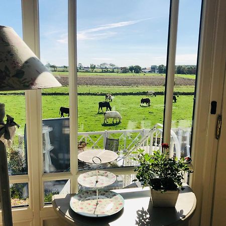Bed & Breakfast Het Zilte Zand - Luxe Ontbijt - Gratis Parking - Westende Middelkerke Dış mekan fotoğraf